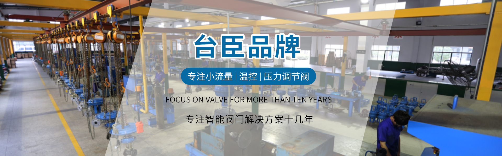 臺(tái)臣閥門-免費(fèi)拿樣、提供方案、3年質(zhì)保